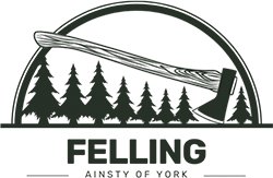 Ainsty Felling UK - Tree service