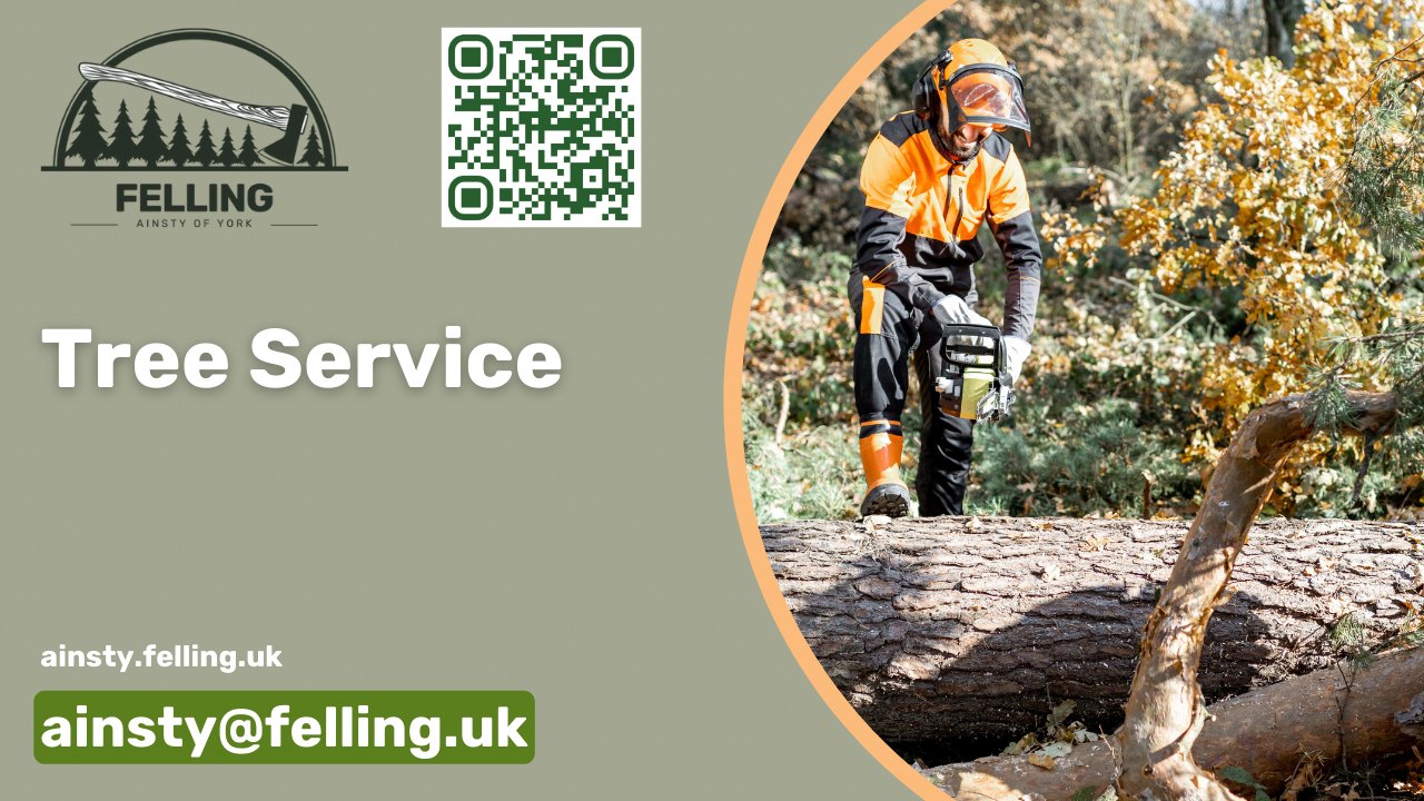 Ainsty Felling UK - Tree Services in the Ainsty of York