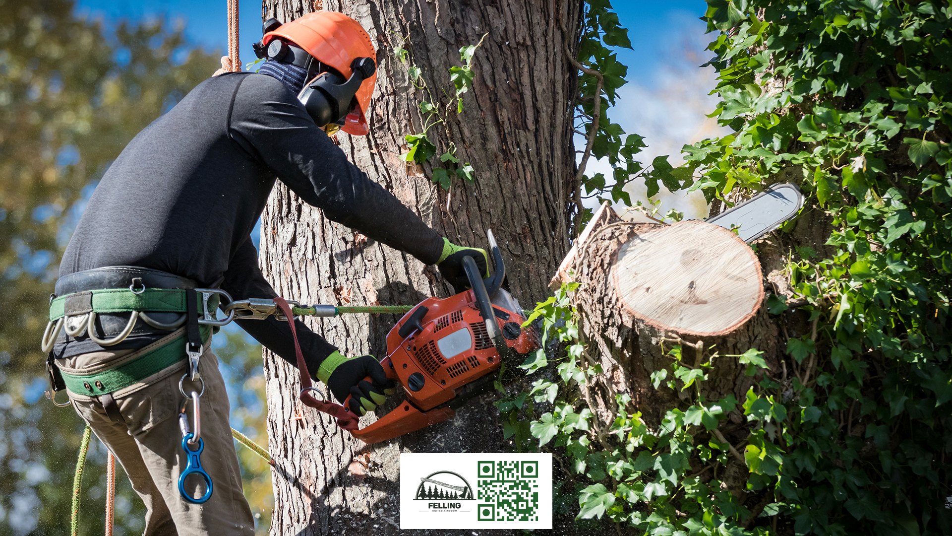 Felling UK - Tree Removal Service