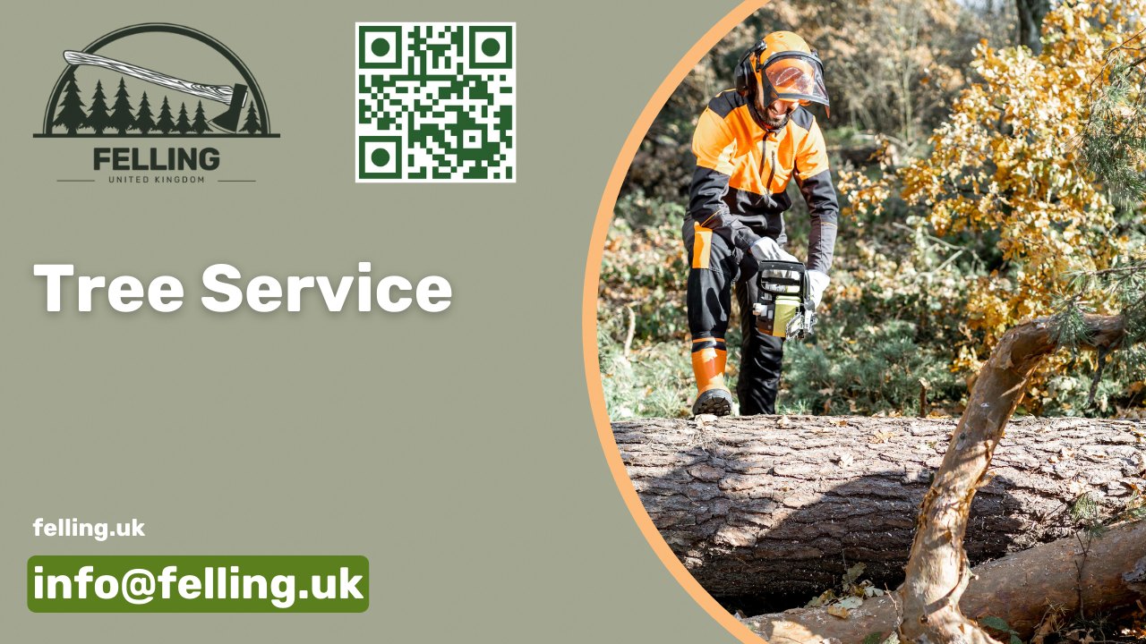 Felling UK - Tree Services in the United Kingdom