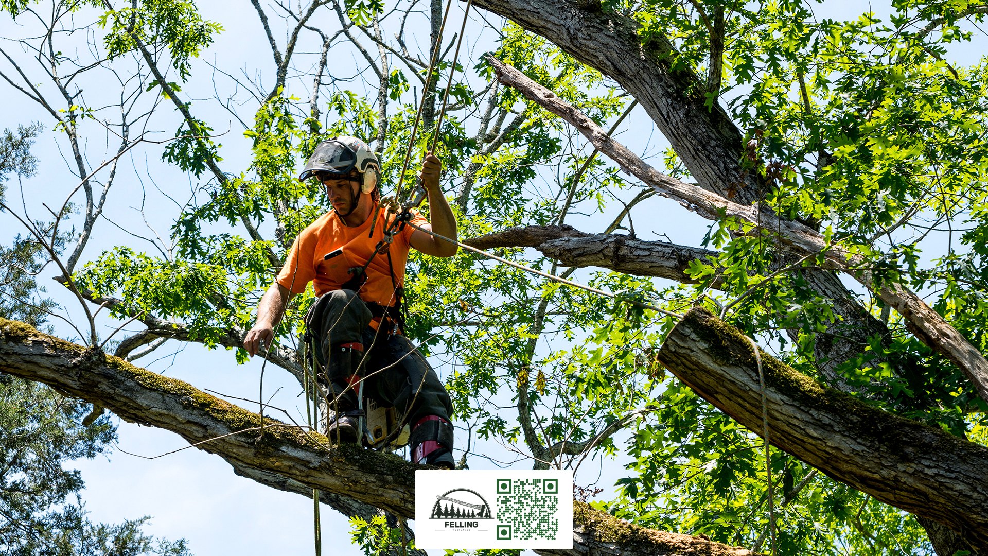 Westlancs Felling UK - Tree Trimming Service